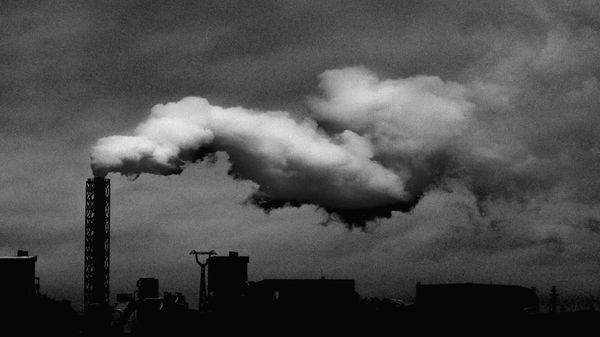 The 5 Largest ESG ETFs